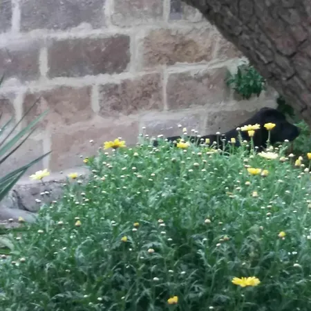 Frühstückspension Il Giardino Delle Margherite Lecce