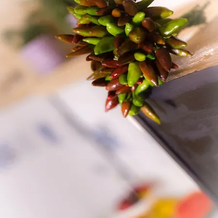 Il Giardino Delle Margherite Bed & Breakfast