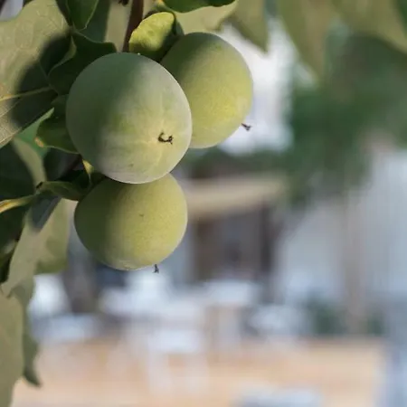 Il Giardino Delle Margherite Frühstückspension Lecce