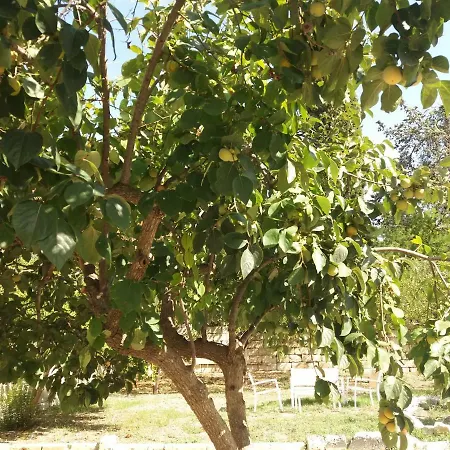 Il Giardino Delle Margherite Frühstückspension 4*