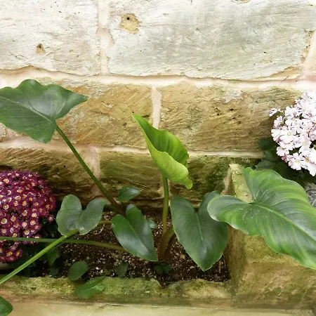 Il Giardino Delle Margherite Bed & Breakfast Lecce