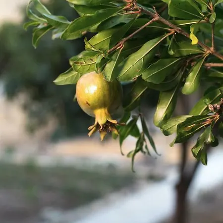 Frühstückspension Il Giardino Delle Margherite 4*