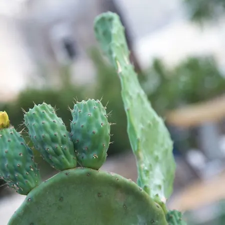 Il Giardino Delle Margherite Frühstückspension