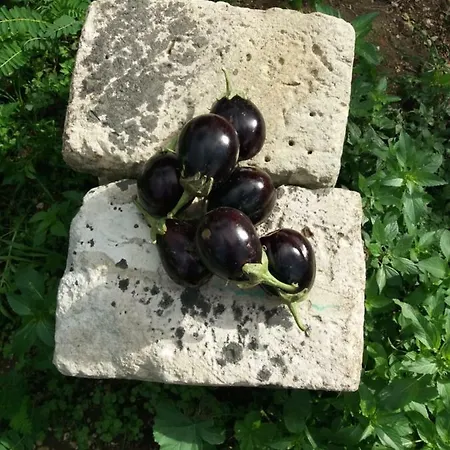 Il Giardino Delle Margherite Frühstückspension 4*